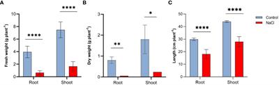 Comparative transcriptomic profiling reveals differentially expressed genes and important related metabolic pathways in shoots and roots of a Saudi wheat cultivar (Najran) under salinity stress